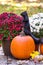 Squirrel stands on an orange fall pumpkin