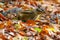 Squirrel surrounded by fallen autumn trees