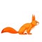 Squirrel watches curiously. Cartoon character of an rodent mammal animal. A wild forest creature with orange fur. Side