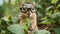 A squirrel wearing glasses and eating leaves in the woods, AI