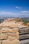 Squirrel Wildlife Bryce Canyon Utah