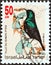 SRAEL - CIRCA 1992: A stamp printed in Israel from the `Songbirds` issue shows Palestine sunbird, circa 1992.