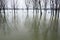 Sremska Mitrovica, Serbia 01.27.2023 Flooding on the Sava river. Deluge after rains and melting snow. Still muddy water