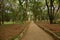 Sri Chamarajendra Park Cubbon Park, Bangalore, Karnataka