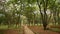 Sri Chamarajendra Park Cubbon Park, Bangalore, Karnataka