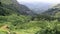 Sri Lanka: cloud forests and tea plantations