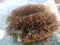 This is sri lanka coconut husk brush this brush using for wash dishes and wash tanks