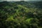 Sri Lanka drone view. Jungle in Sri Lanka, aerial view.