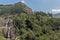 Sri Lanka forest landscape