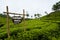 SRI LANKA, HAPUTALE - APRIL 18, 2018: road to famous tea plantation called Lipton seat.