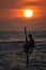 Sri Lanka: Stilt fishermen