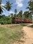 Sri Lanka Vintage Red Train