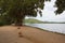 Sri lankan dogs resting by sorabora lake