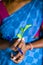 A Sri Lankan lady holds a green tea leaf in her hands in front of a sky blue sari, Nuwara Eliya, Sri Lank