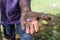 Sri Lankan man holds small small pink flower.