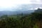 Sri Lankan Mountain Forest Landscape