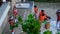 Sri Lankan people welcoming tourist at the hotel