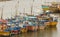 Sri Lankan traditional fishing catamarans, Colorful fishing boats docked docked in the port of Beruwala, Sri Lanka