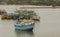 Sri Lankan traditional fishing catamarans, Colorful fishing boats docked docked in the port of Beruwala, Sri Lanka