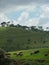 Sri Lankaâ€™s largest dairy farms. situated in the beautiful town of Nuwera Eliya