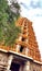 The Srikanteshwara Temple also called Nanjundeshwara Temple is an ancient temple in the Hindu pilgrimage town of Nanjangud in th