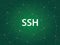 Ssh - Secure Shell usually used for remote login and encrypted file transfers