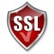 SSL encryption icon - IT computer internet online security