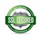 Ssl secured seal or shield illustration