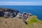 St. Abbs Head coastal cliffs, St. Abbs, Scotland, UK