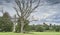 St Albans Cathedral from Verulam Park in summer