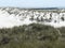 St. Andrews Florida Beach Jetty