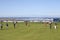 St. Andrews golf links near the beach