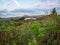 St. Augustine, Florida, Anastasia State park before sunset with the boardwalk leading to the ocean off in the distance and the