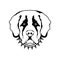 St. Bernard dog icon.