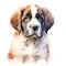 St Bernard puppy on a white background. Cute digital watercolour for dog lovers