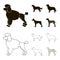 St. Bernard, retriever,doberman, labrador. Dog breeds set collection icons in black,outline style vector symbol stock