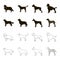 St. Bernard, retriever,doberman, labrador. Dog breeds set collection icons in black,outline style vector symbol stock