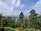 St. Clair Falls situated west of the town of Talawakele on the Hatton-Talawakele Highway in Nuwara Eliya, Sri Lanka