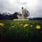 St.Coloman Church in Germany