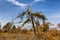 St. Croix State Park Wind Damage