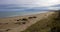 St Cyrus Beach, Scotland.