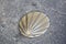 St James Way Shell Symbol, Santiago de Compostela, Galicia