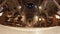 St Joachim church interior in Rome