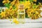 St. John`s wort medicinal. Homeopathy.