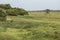 St. Lucia wetlands park landscape, South Africa