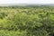 ST. Lucia wetlands park view on jungle, South Africa