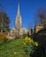 St. Marys Church and Daffodils in Saffron Walden, Essex, UK