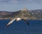 St. Michaels Mount in Cornwall, UK