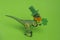 st. Patrick card with dinosaur wearing green hat and red beard and holding shamrock leaf on a green background