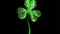 St. Patrick's Day 3d effect clover over space background. Decorative greeting grungy or postcard. Simple banner for the site,